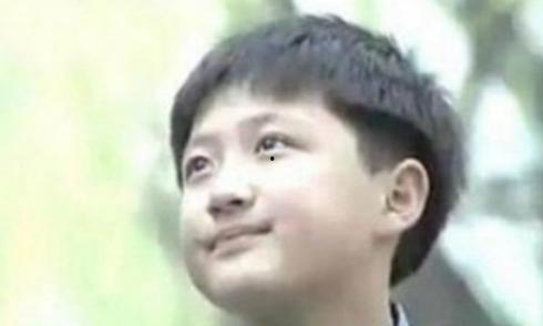 童星李传个人资料,从璀璨童星到成熟演员的成长之路