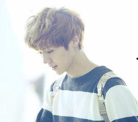 鹿晗背景红三,红三代背景下的璀璨星途